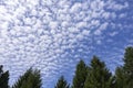 Clouds In The Blue Sky