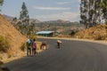 WOLLEKA, ETHIOPIA - MARCH 14, 2019: People walking on a road with donkeys near Wolleka village near Gondar, Ethiopi