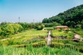 Wolmi Park Traditional Garden at summer in Incheon, Korea
