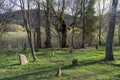 Wolosate, Malopolskie / Poland - April, 28, 2019: Old cemetery in a village in the mountains. Burial place in a small village