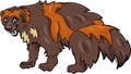 Wolverine animal cartoon illustration