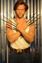 Wolverine - Marvel X men