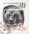 Wolverine Stamp Royalty Free Stock Photo