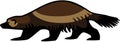 Wolverine Royalty Free Stock Photo