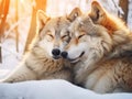 Ai Generated illustration Wildlife Concept of Wolves cuddling