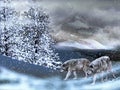 Wolves in the snow Royalty Free Stock Photo