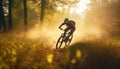 woman female bicycle dark cycling bike sunset walking sport forest summer. Generative AI.