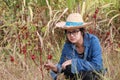 Woman agriculturist sitting and catch Rosella plant, with straw hat and wearing Long-sleeve denim shirt in the plantation