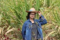 Woman agriculturist standing with her left hand on the hat and wearing Long sleeve denim shirt in the sugarcane farm