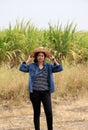 Woman agriculturist standing with two hands on her hat and wearing Long-sleeve denim shirt on the sugarcane farm