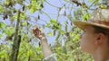 Female agronomist hand holding dried up plant close-up shot. Woman farmer touches wizened leaves observing harvest loss