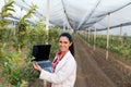 Woman agronomist in the orchard