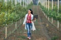 Woman agronomist in the orchard