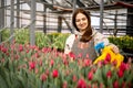 Woman agronomist pouring water to tulips flowerbed use watering can cultivation growing flowers