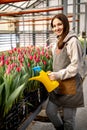 Woman agronomist pouring water to tulips flowerbed use watering can cultivation growing flowers