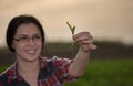 Woman agronomist taking care of sprouts in field