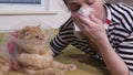 Woman with allergic rhinitis near cat in cone collar