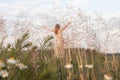 Woman alone in summer field with grass and flowers with outstreched arms, spreading her hands to nature and freedom Royalty Free Stock Photo