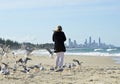 Woman alone walking on beach surrounded by flock sea birds & distant city life Royalty Free Stock Photo