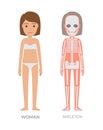 Woman Anatomy and Skeleton Struct Colorful Banner Royalty Free Stock Photo