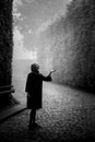 A woman in the ancient park in a mystical fog. Black and white photo. Royalty Free Stock Photo