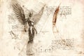 woman angel with wings drawing in style of Leonardo Da Vinci Royalty Free Stock Photo