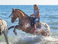 Woman and appaloosa horse Royalty Free Stock Photo