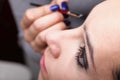 Woman applying eyeshadow makeup brush Royalty Free Stock Photo