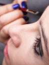 Woman applying eyeshadow makeup brush Royalty Free Stock Photo