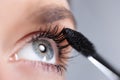 Woman applying mascara Royalty Free Stock Photo