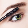 Woman applying mascara on eyelashes with brush.