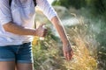 Woman applying mosquito repellent on hand in nature. Royalty Free Stock Photo