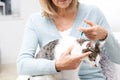 Woman Applying Tick And Flea Treatment To Pet Cat Royalty Free Stock Photo