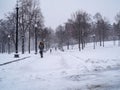 A Woman Approaches Along a Footpath in Boston Common