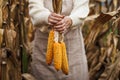 Woman with apron holding corn cob Royalty Free Stock Photo