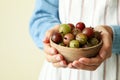 Woman in apron holds bowl of gooseberry, close up Royalty Free Stock Photo