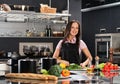 Woman in apron on modern kitchen Royalty Free Stock Photo