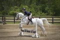 Woman and Arabian Cross Jump a Plank