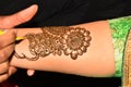 Woman Arm in Beautiful heena design Royalty Free Stock Photo