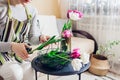 Woman arranges bouquet of tulips flowers at home. Florist cuts stem with pruner, puts in vase. Interior and spring decor Royalty Free Stock Photo