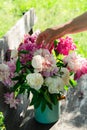 Woman arranging bouquet of peony flowers in milk can on wooden garden bench, closeup view Royalty Free Stock Photo