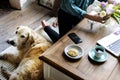 Woman Arranging Flowers with Golden Retriever Dog Laying