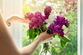 Woman arranging lilac flowers in vase on windowsill at home