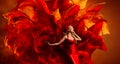 Woman Art Fantasy, Dancing Fashion Model on Red Fabric Color Explosion Royalty Free Stock Photo