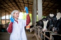 Woman Asian agronomist or animal doctor collecting milk sample at dairy farm