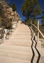 A Woman Atop a Stairway