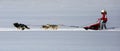 Woman attending at dog sledding race during winter time