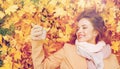 Woman on autumn leaves taking selfie by smartphone Royalty Free Stock Photo