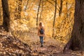 Woman in autumn park, back view. Adult girl walking away alone on path in autumn forest Royalty Free Stock Photo