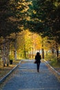 Woman in autumnal alley